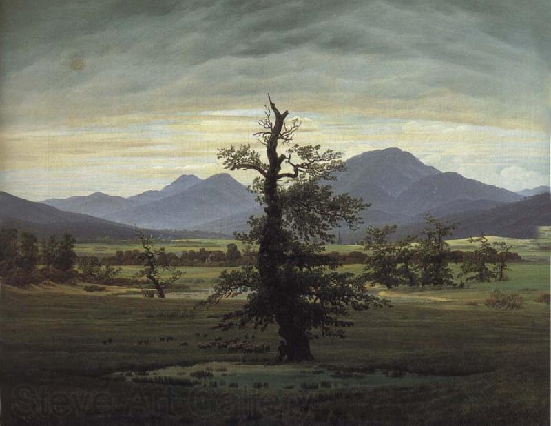 Caspar David Friedrich The Solitary Tree France oil painting art